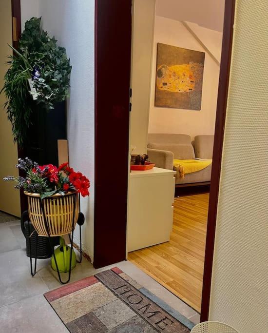 ציריך Apartment Near Central Station מראה חיצוני תמונה