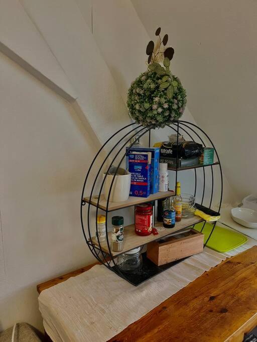 ציריך Apartment Near Central Station מראה חיצוני תמונה