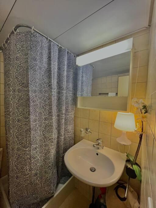ציריך Apartment Near Central Station מראה חיצוני תמונה