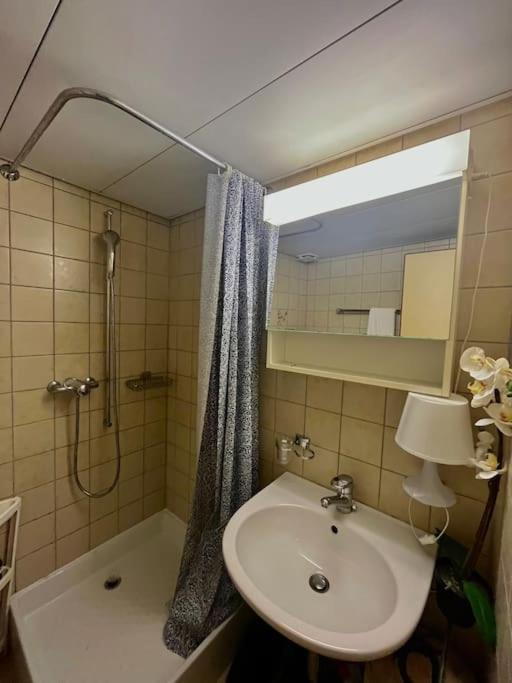 ציריך Apartment Near Central Station מראה חיצוני תמונה